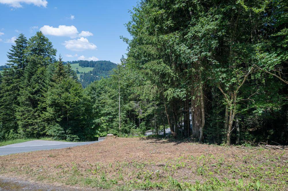 Gerodetes Grundstück an einer Straße, umgeben von Wald mit Fernblick auf hügelige Landschaft.