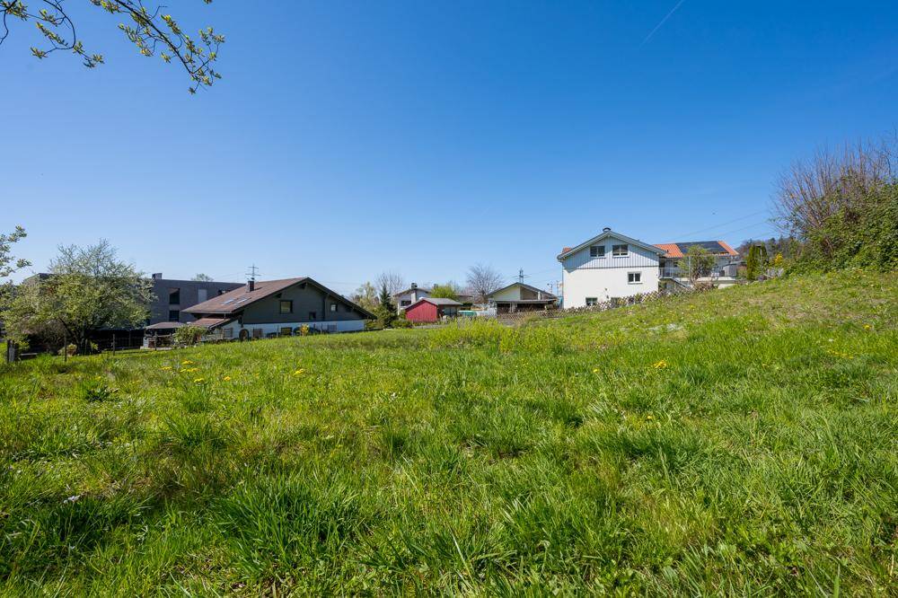 Grünes Wiesengrundstück mit angrenzenden Wohnhäusern und klarem blauen Himmel.