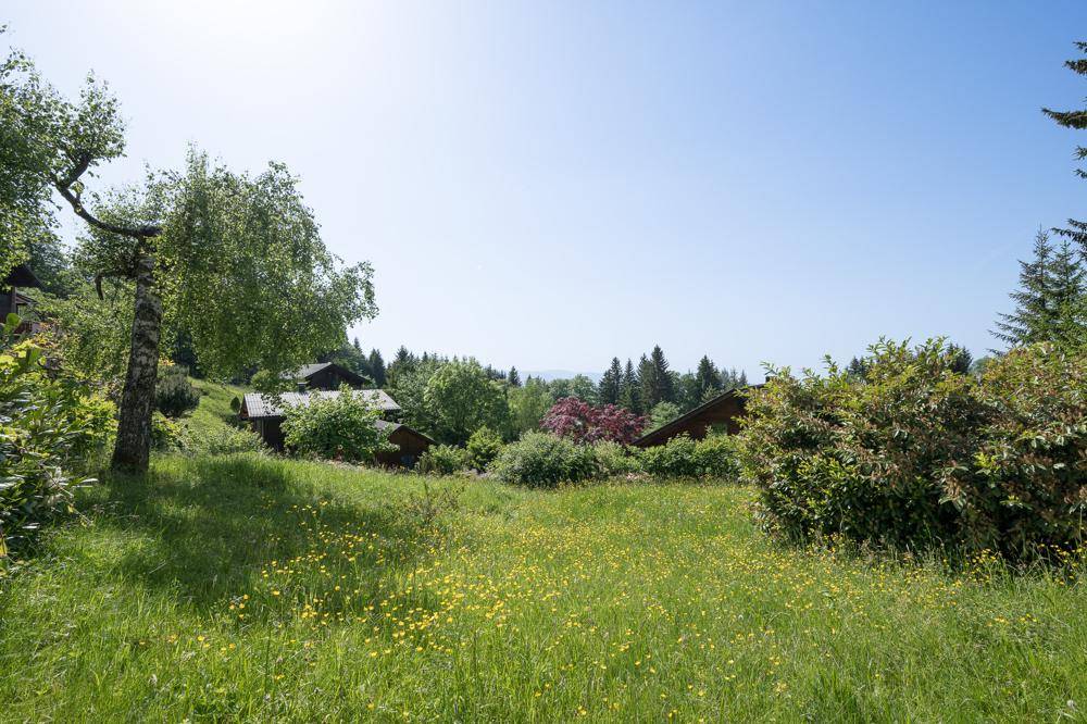 Sonnige Wiesenlandschaft mit Bäumen und Häusern in der Ferne, umgeben von üppiger Natur.