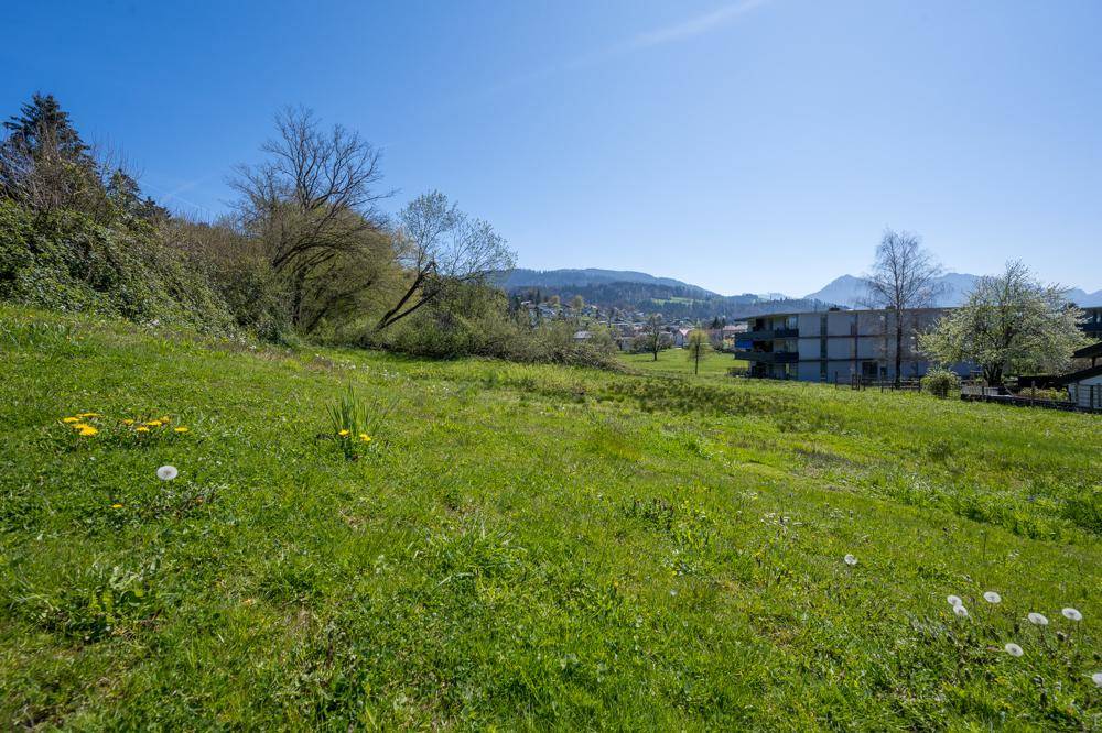 Sonniges Wiesengrundstück mit Löwenzahn und Fernblick auf die Berge und Gebäude.