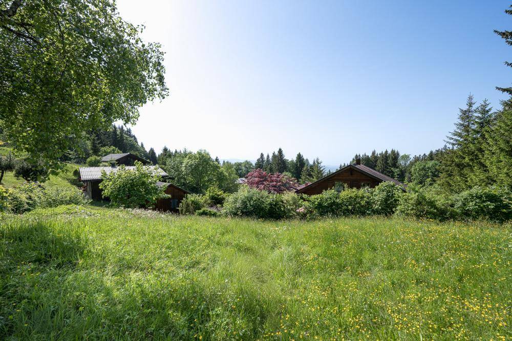 Weitläufige grüne Wiese mit vereinzelten Häusern und dichtem Wald im Hintergrund an einem sonnigen Tag.
