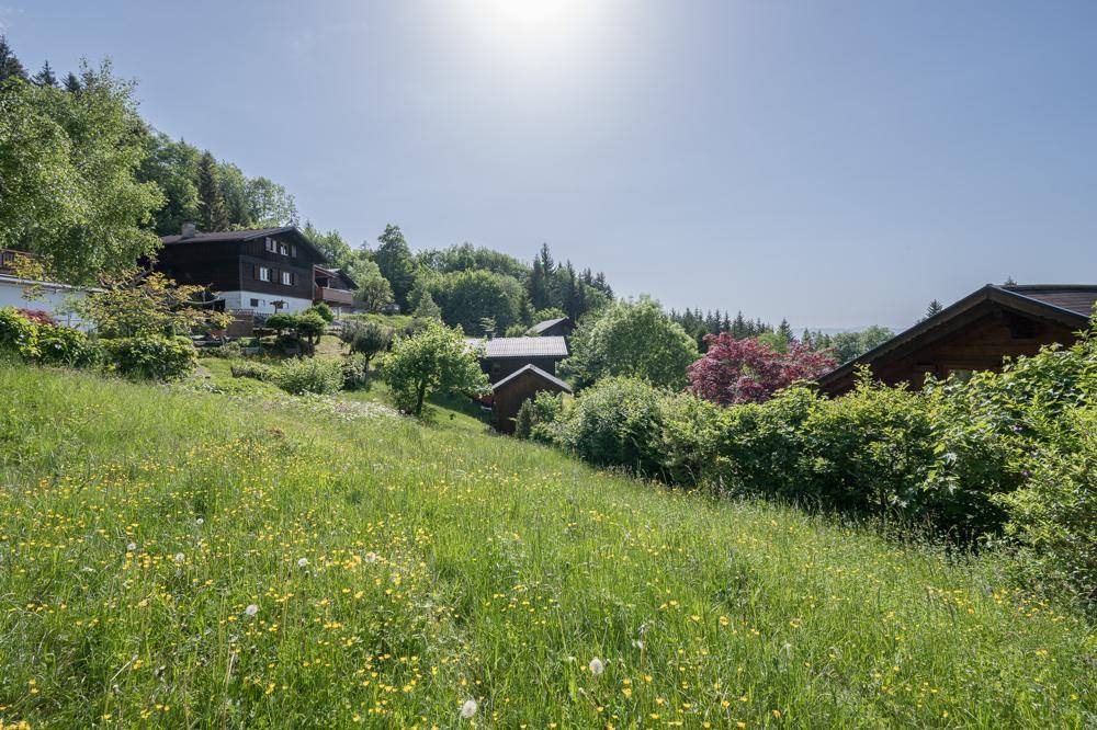 Hanglage mit grüner Wiese und mehreren Häusern, umgeben von dichtem Wald unter blauem Himmel.