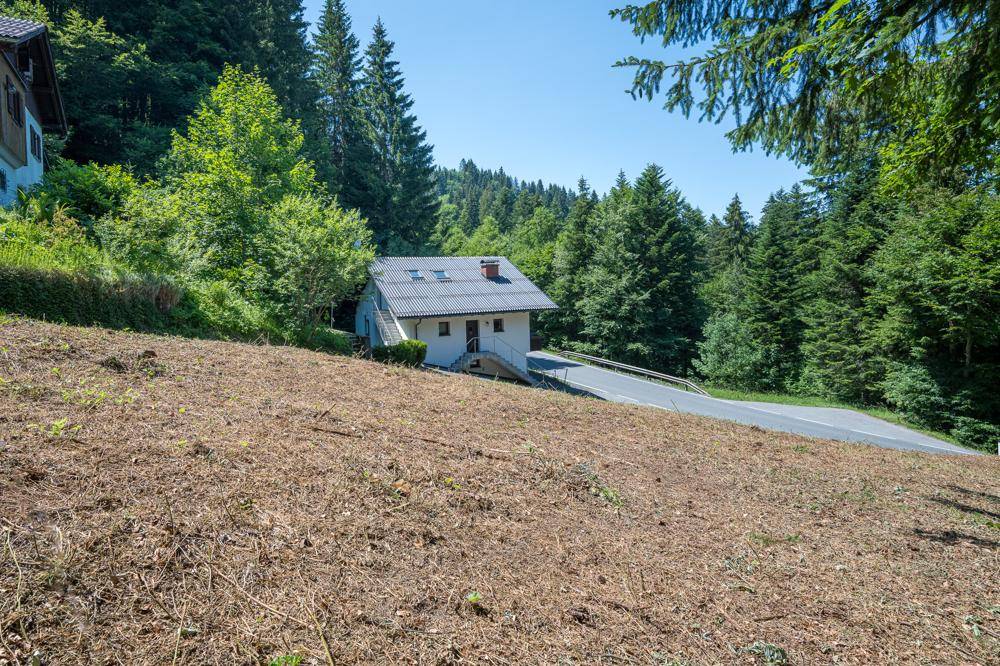 Gerodetes Grundstück mit Blick auf ein kleines Haus an einer Straße, umgeben von Wald.