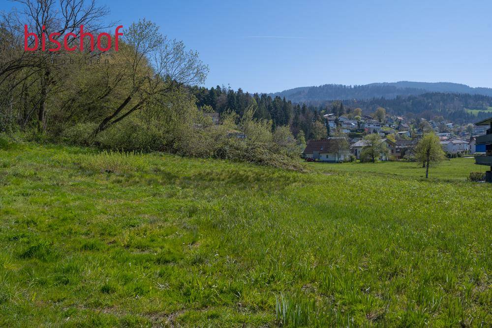 Helles Wiesengrundstück mit frischem Grün und Blick auf die Siedlung und bewaldete Hügel.
