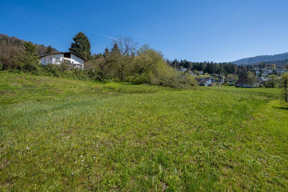 Idyllische Wiesenlandschaft mit vereinzelten Häusern und bewaldeten Hängen im Hintergrund.