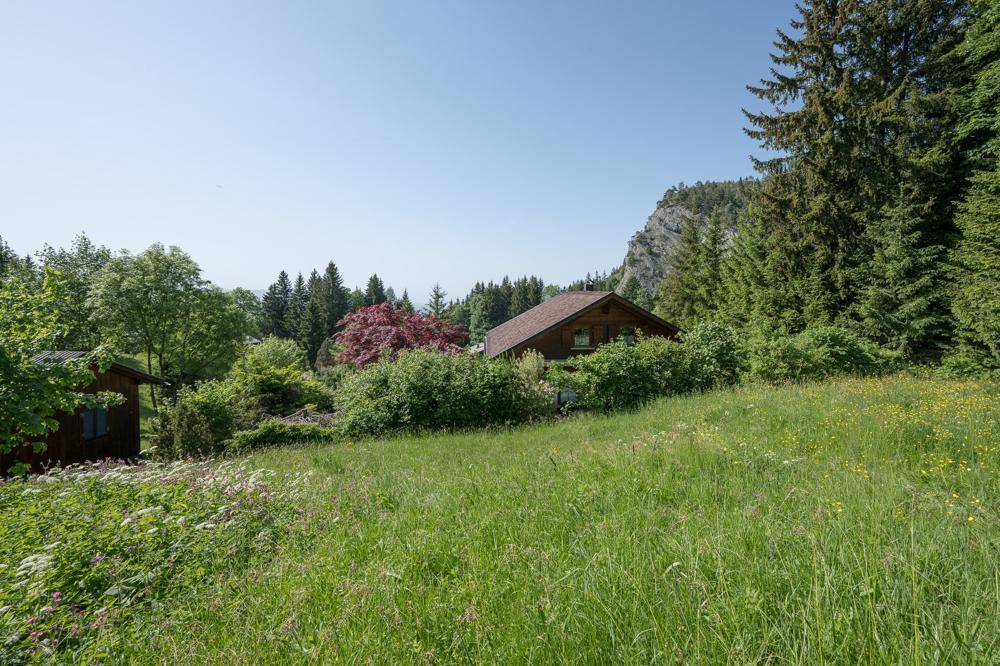 Grüne Wiese mit einem Haus und Wald im Hintergrund, daneben eine markante Felsformation.