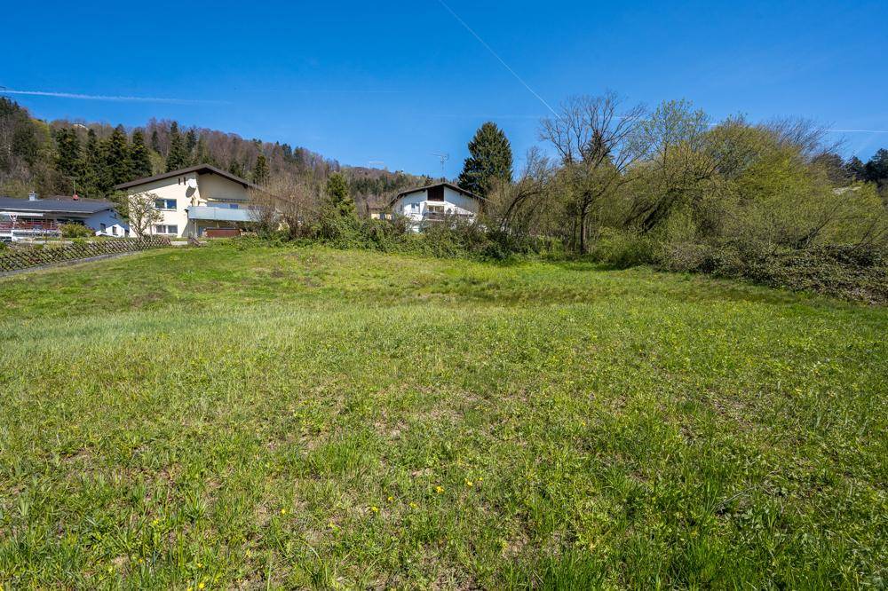 Weitläufige Wiese mit Blick auf die Nachbarschaft und die bewaldete Umgebung an einem sonnigen Tag.