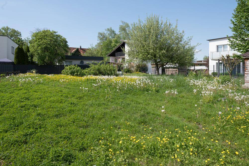 Grüne Hanglage mit blühenden Wiesenblumen und mehreren Wohnhäusern in der Ferne unter blauem Himmel.