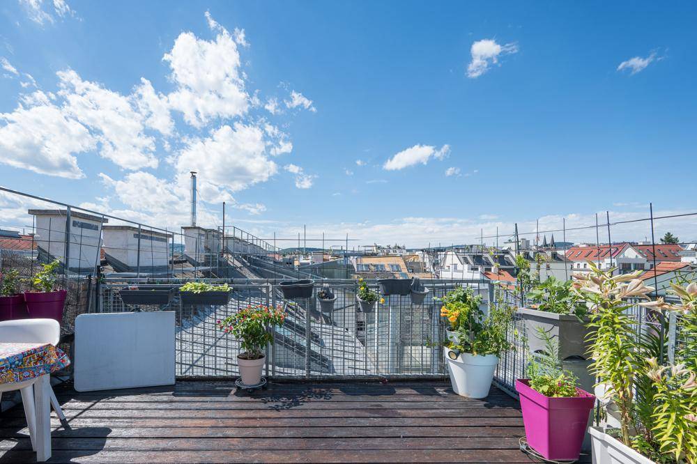 Weitläufige Dachterrasse mit Holzbelag und vielen Pflanzen, bietet einen Panoramablick.