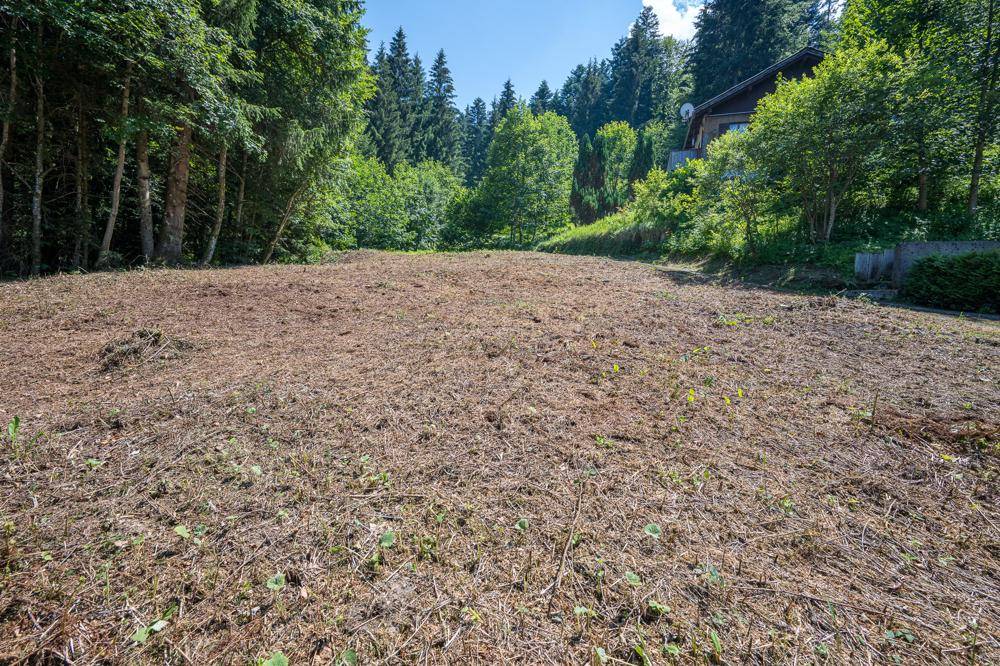 Freigelegtes Baugrundstück mit Blick auf ein angrenzendes Haus und die umliegende Waldlandschaft.
