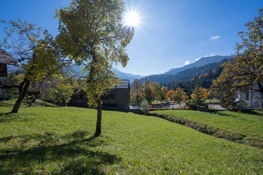 Sonnige Hanglage mit Bäumen und einem Gebäude, umgeben von grüner Natur und Bergen in der Ferne.