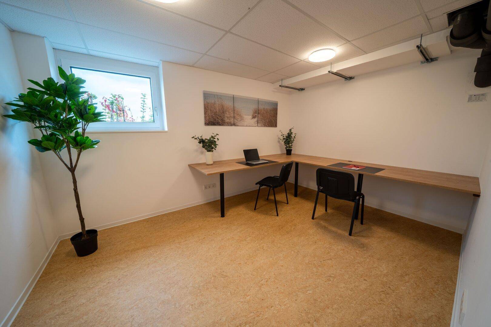 Helles Büro im Untergeschoss mit Schreibtisch und Pflanzen.