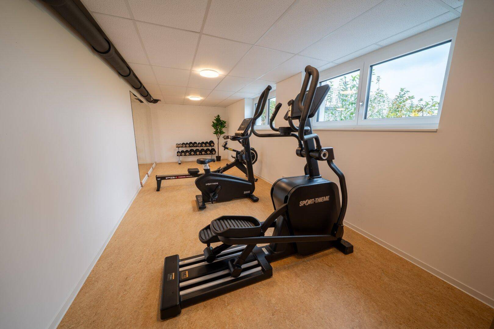 Fitnessraum im Untergeschoss mit Trainingsgeräten und Fenstern.