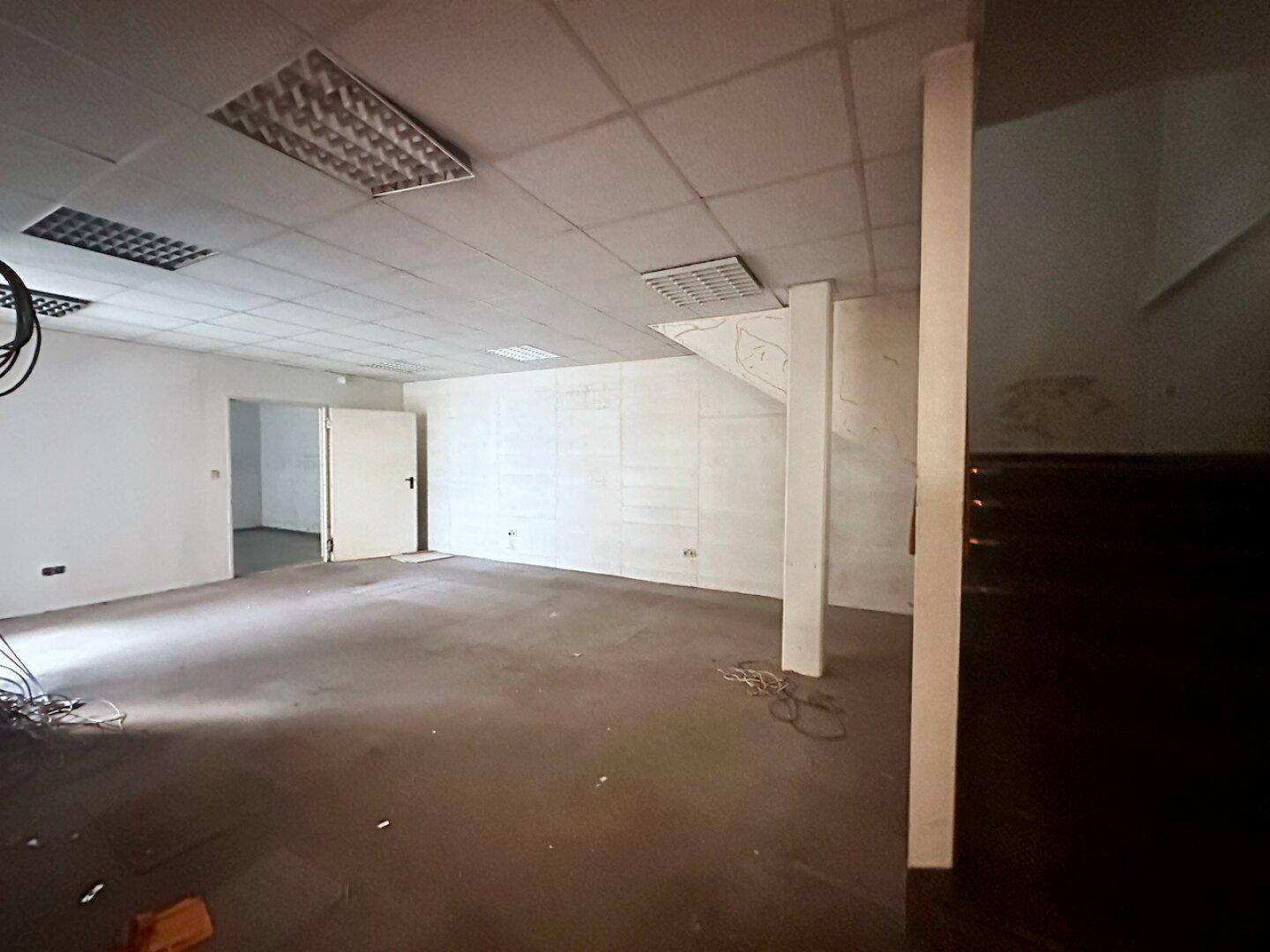 Großer, offener Gewerberaum mit abgehängter Decke und sichtbaren Kabeln, bereit für den Ausbau.