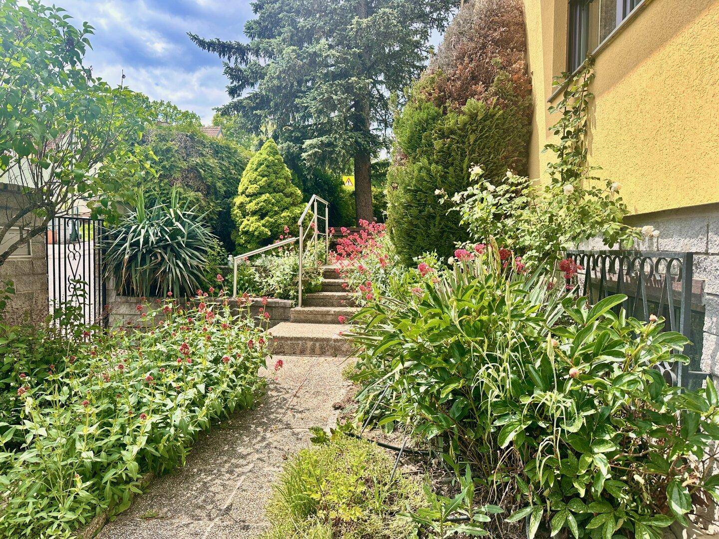 Gepflegtes Einfamilienhaus in begehrter Wohnlage in Wien-Penzing - Ansicht 2