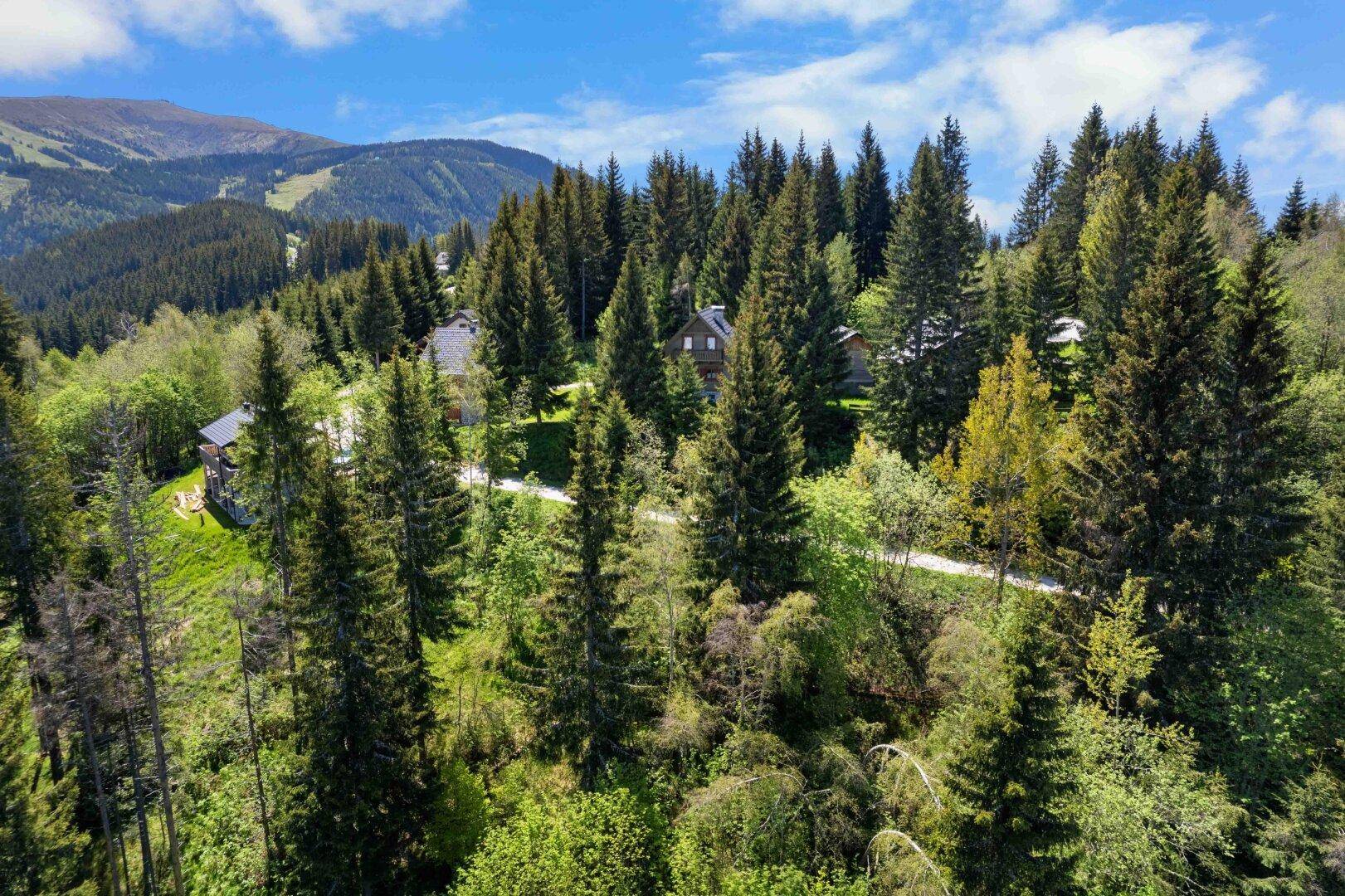 Blick durch dichte Nadelwälder auf versteckte Häuser und die umliegende Berglandschaft.