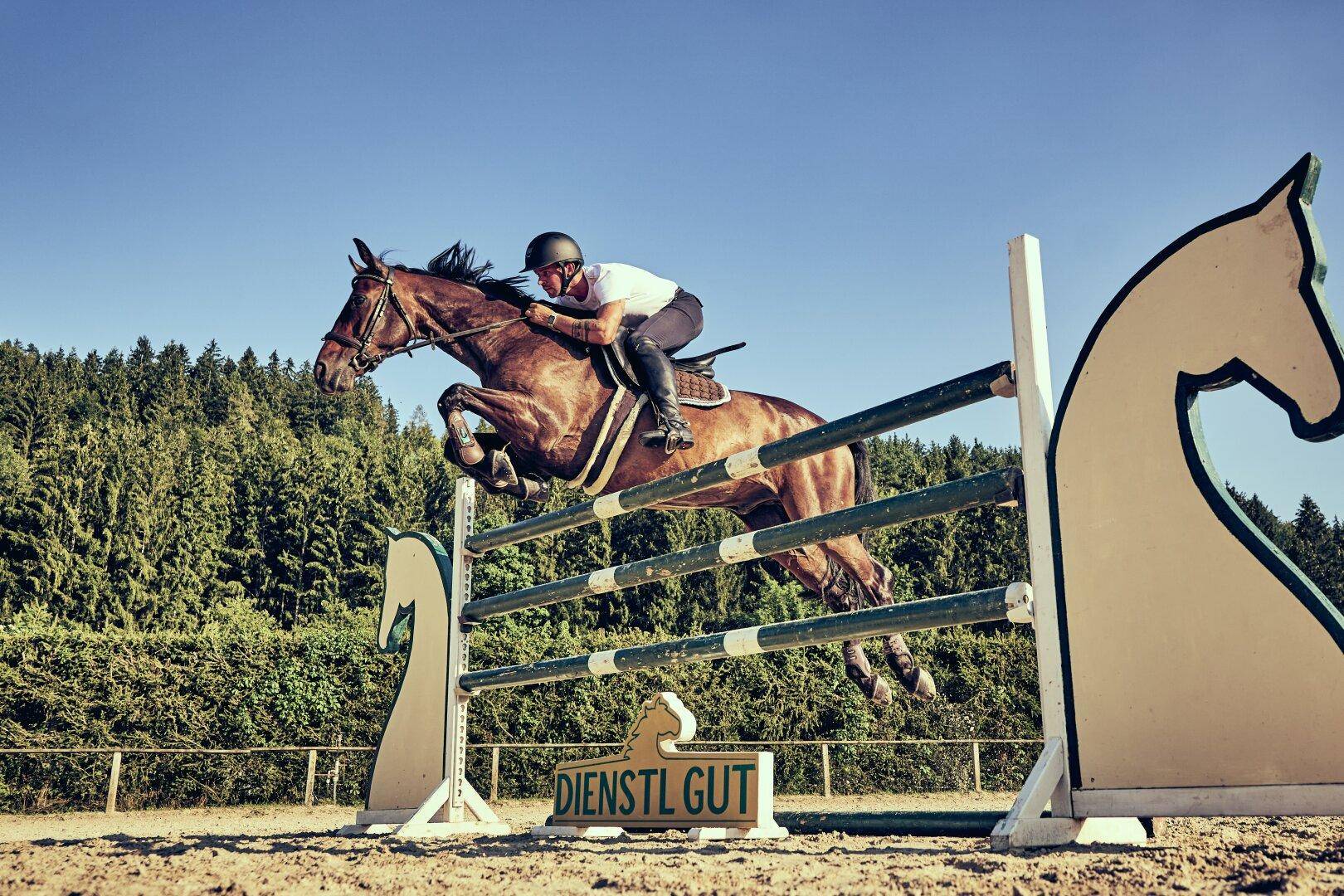 Reiter und Pferd überwinden ein Hindernis auf dem Reitplatz unter blauem Himmel.