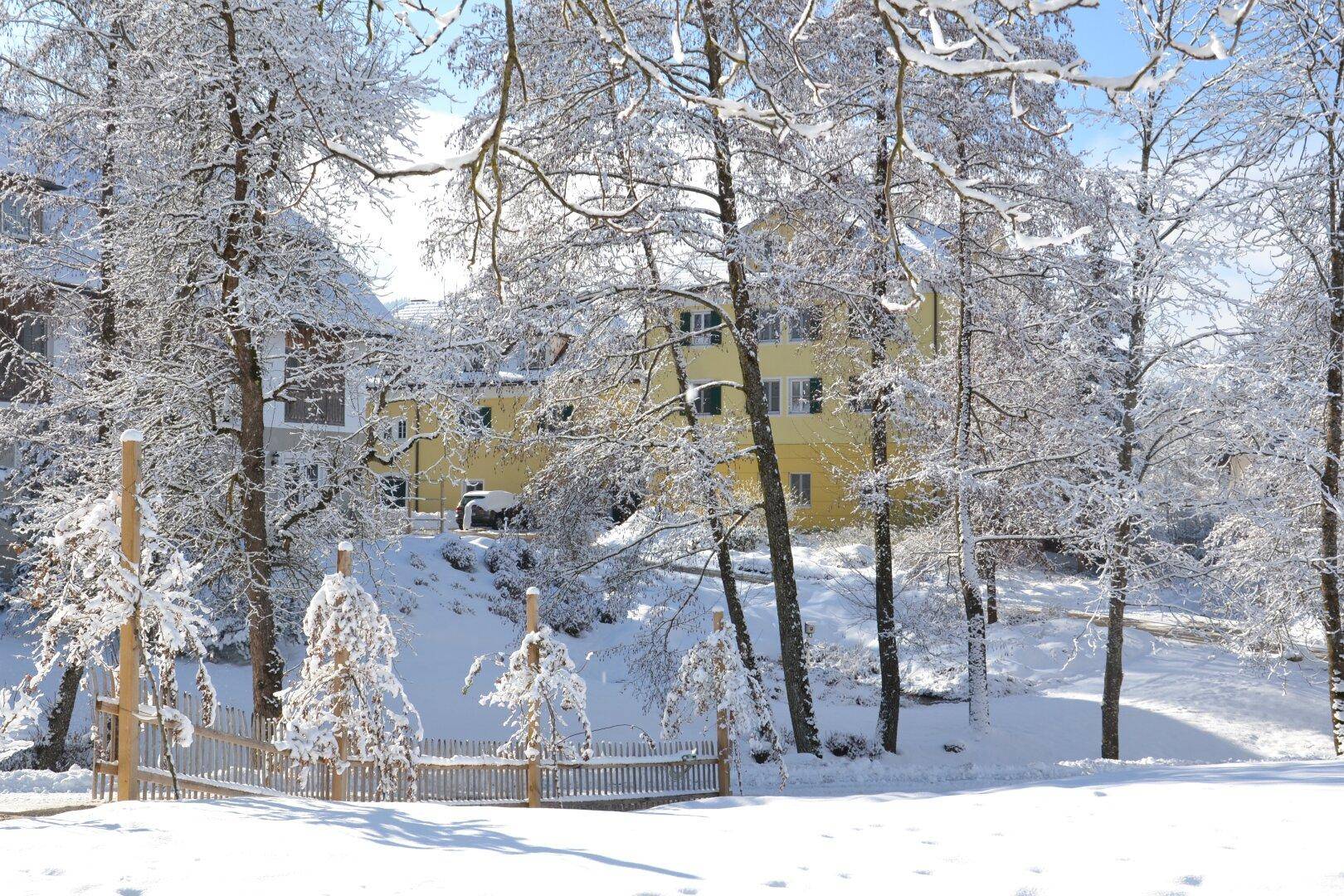 Winterlandschaft mit schneebedeckten Bäumen und dem gelben Hauptgebäude im Hintergrund.