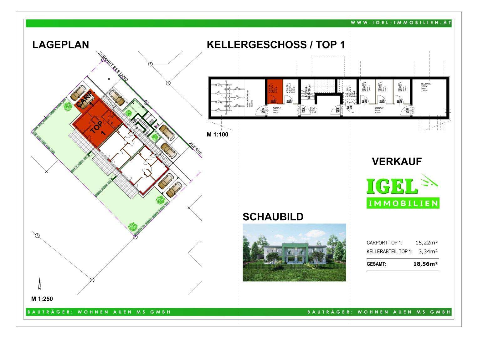 Lageplan und Grundriss des Kellergeschosses mit Abstellraum und Carport-Informationen.