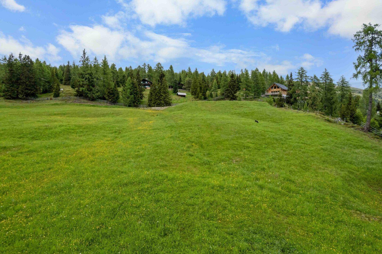 Weite grüne Wiese mit vereinzelten Bäumen und Holzhäusern am Horizont unter blauem Himmel.