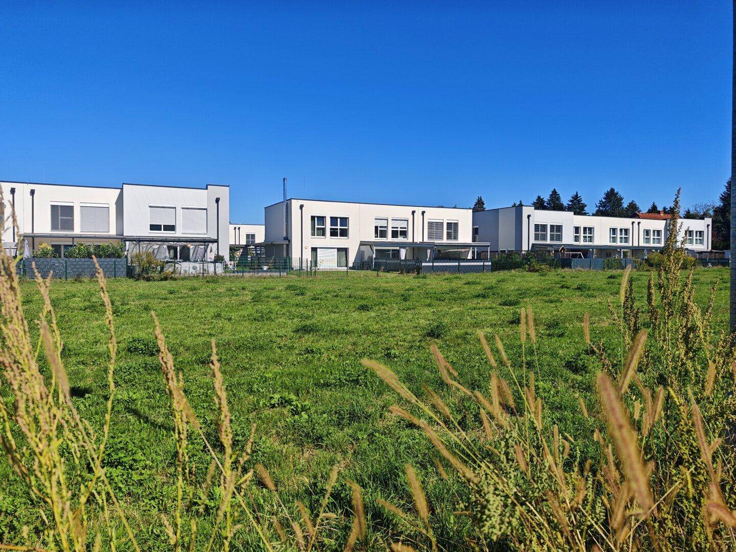 Reihe moderner Häuser mit weißer Fassade und Rollläden, umgeben von weiten Grünflächen.