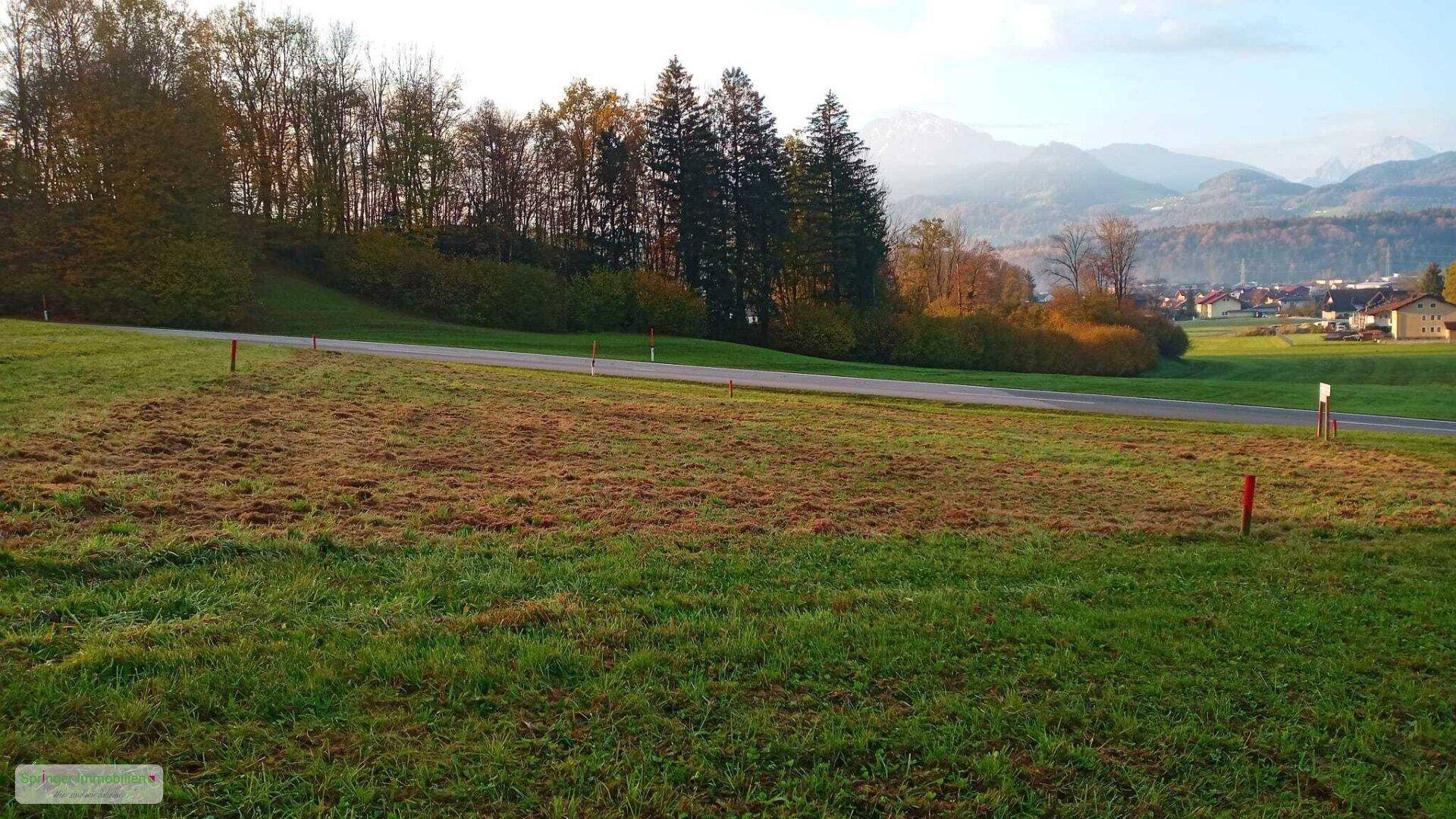 Hinaus ins Grüne! sonnenverwöhnter Baugrund - Ansicht 3