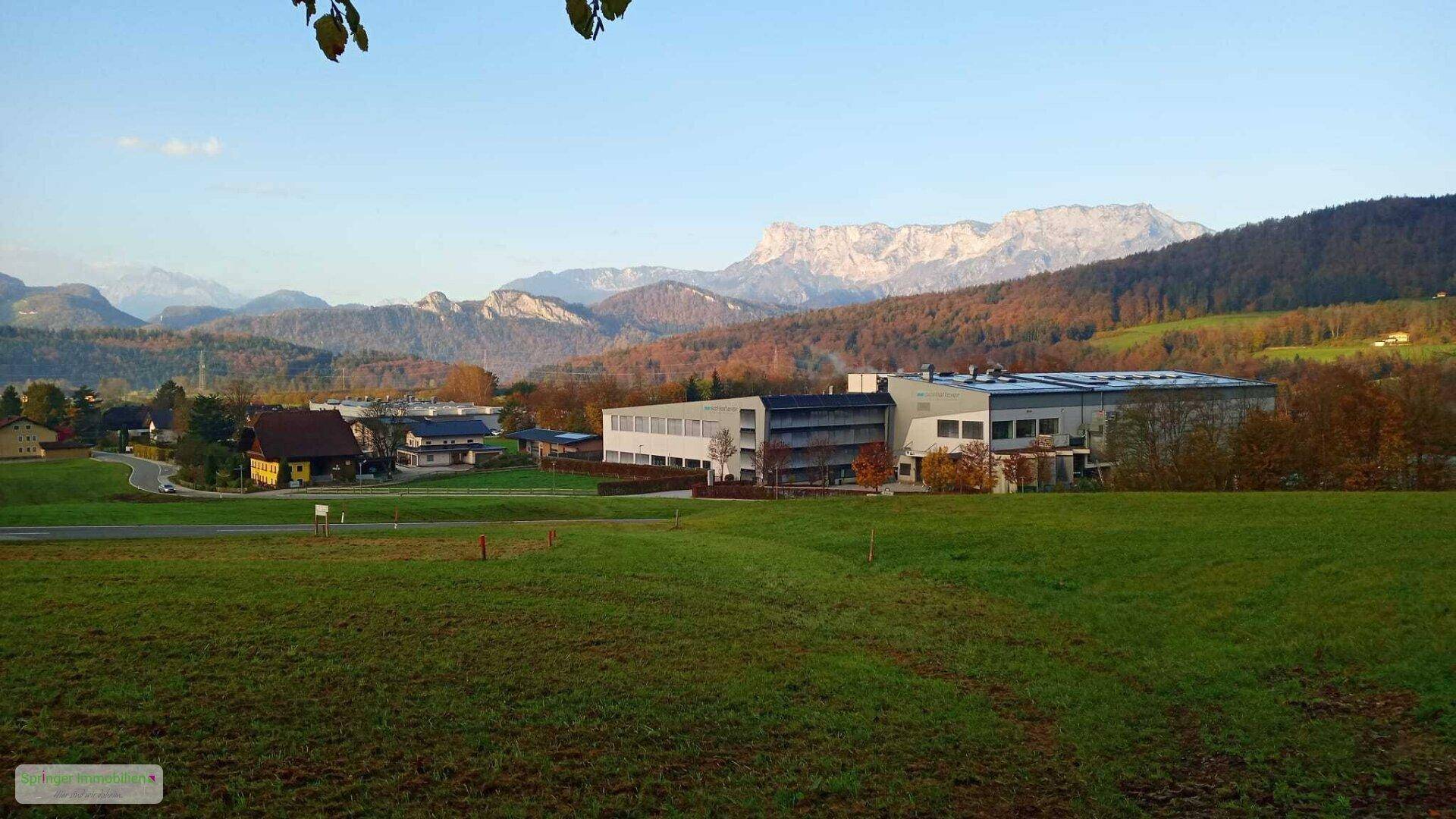 Hinaus ins Grüne! sonnenverwöhnter Baugrund - Ansicht 2