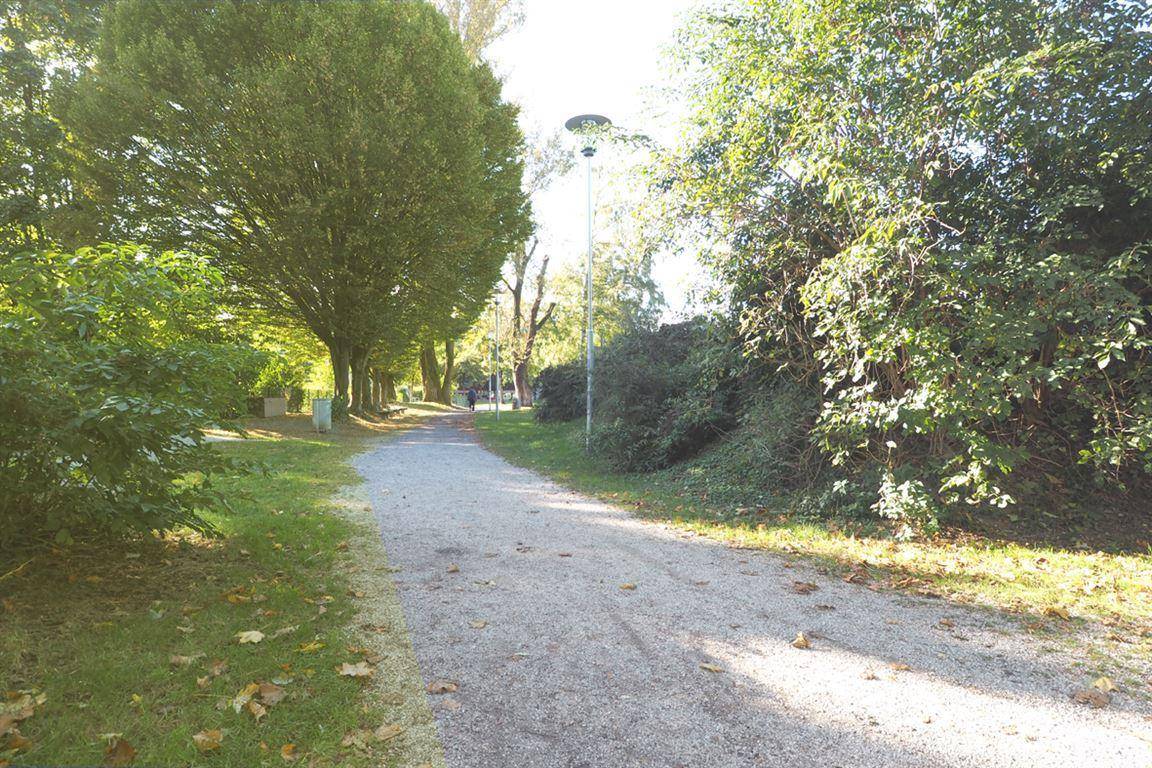 Spaziergang quer durch den Park