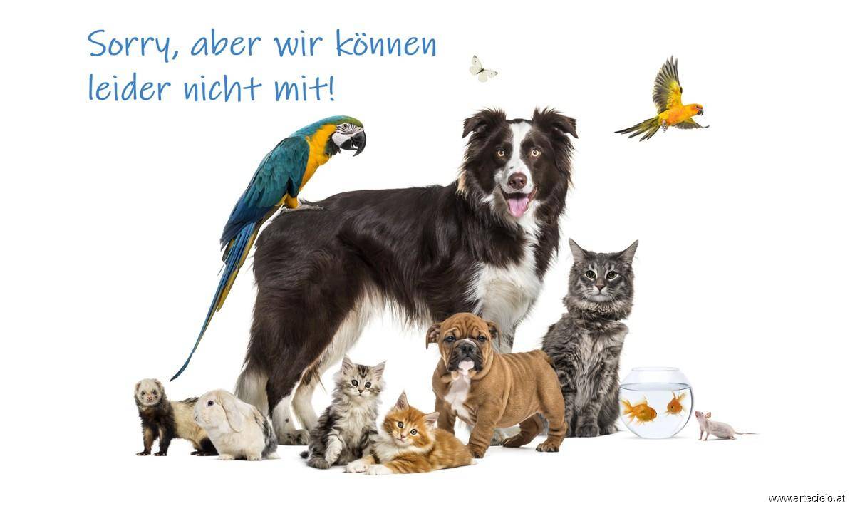 Keine Haustiere