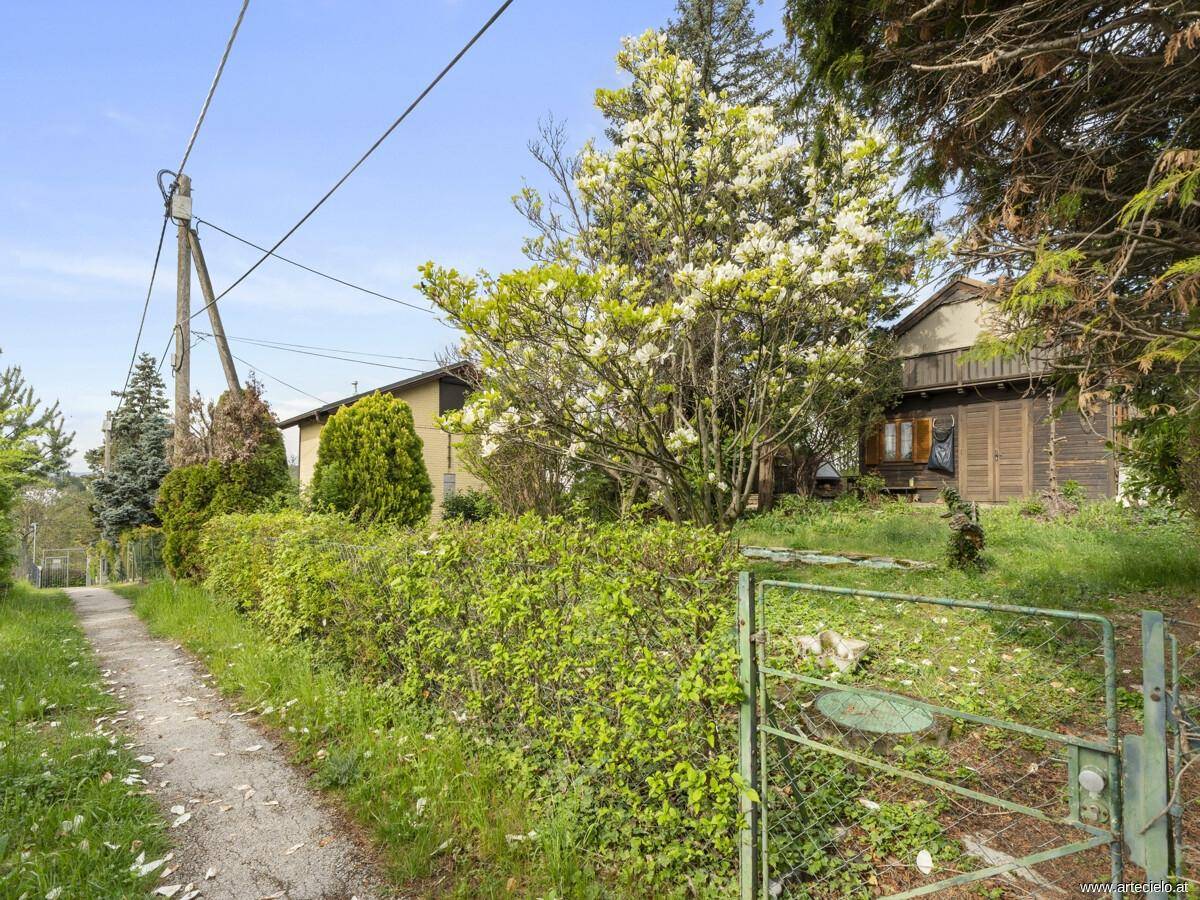 Zugang zum Grundstück mit einer grünen Hecke und blühenden Bäumen unter blauem Himmel.