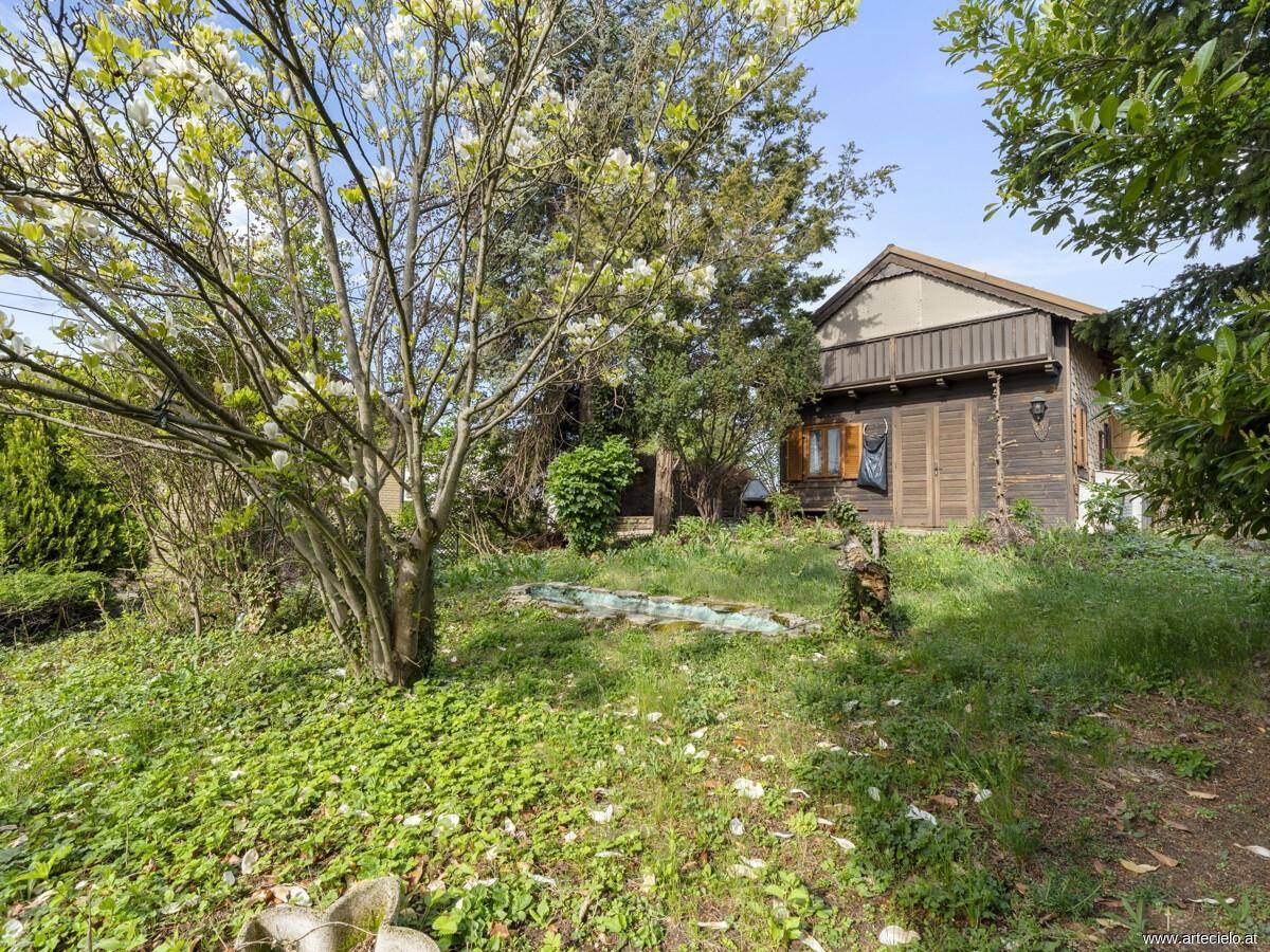 Naturbelassener Gartenbereich mit blühendem Baum und einem rustikalen Holzhaus im Hintergrund.