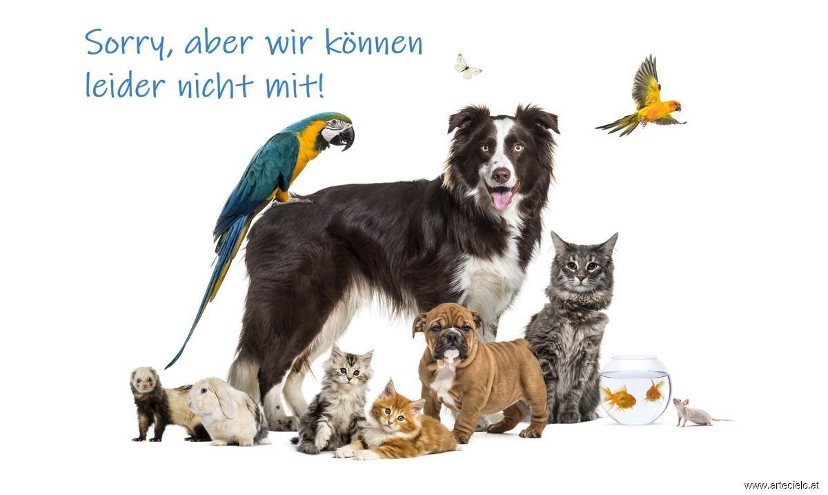 Haustiere_nein
