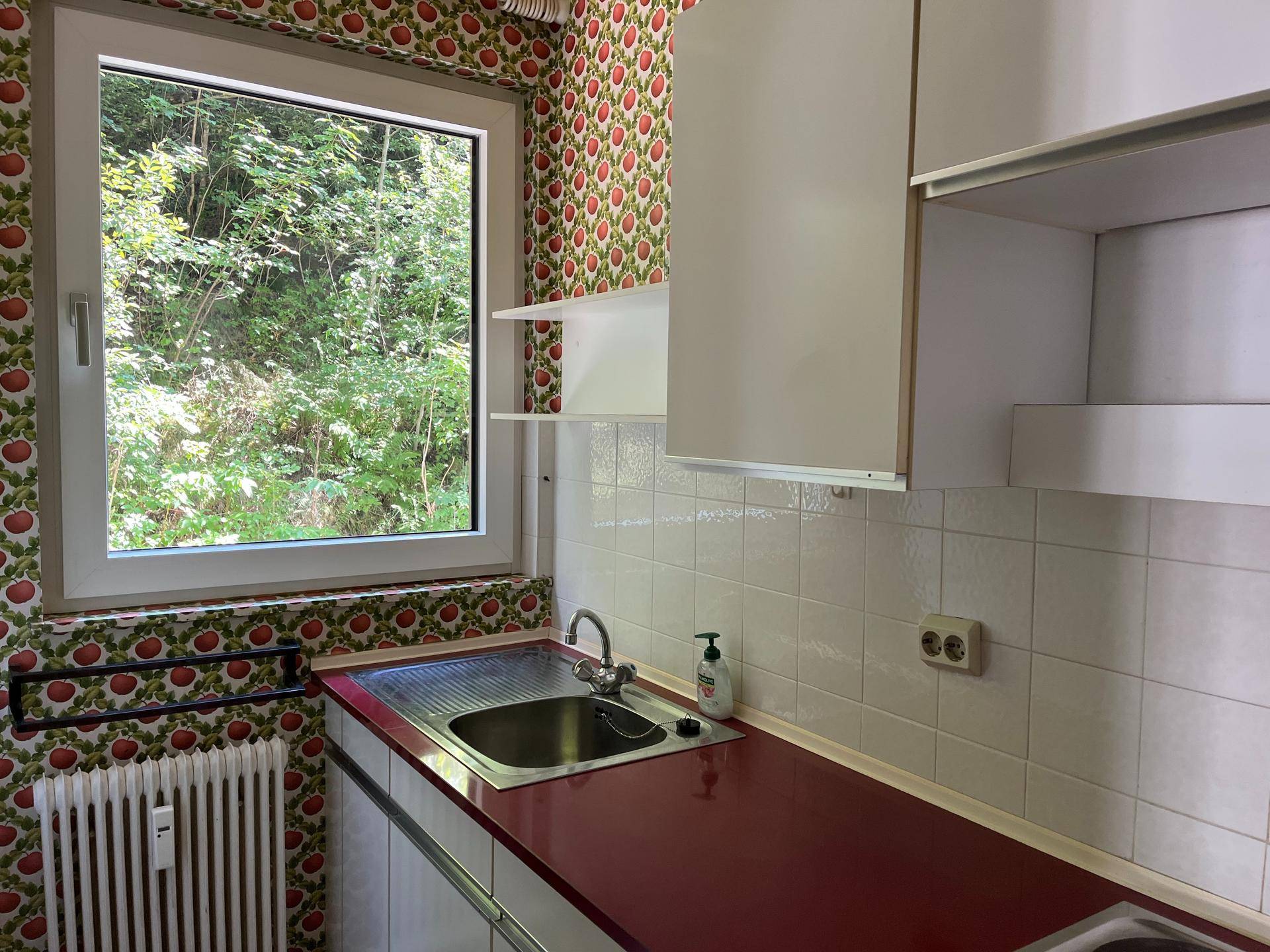 Kleine Küche mit Spüle, roter Arbeitsplatte, weißen Schränken und Fenster mit Blick ins Grüne.