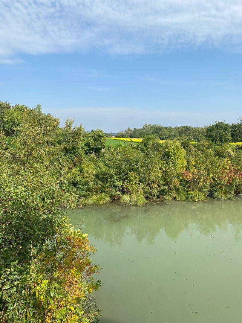Weitläufige Landschaft mit einem Gewässer, umgeben von Bäumen und Feldern unter blauem Himmel.