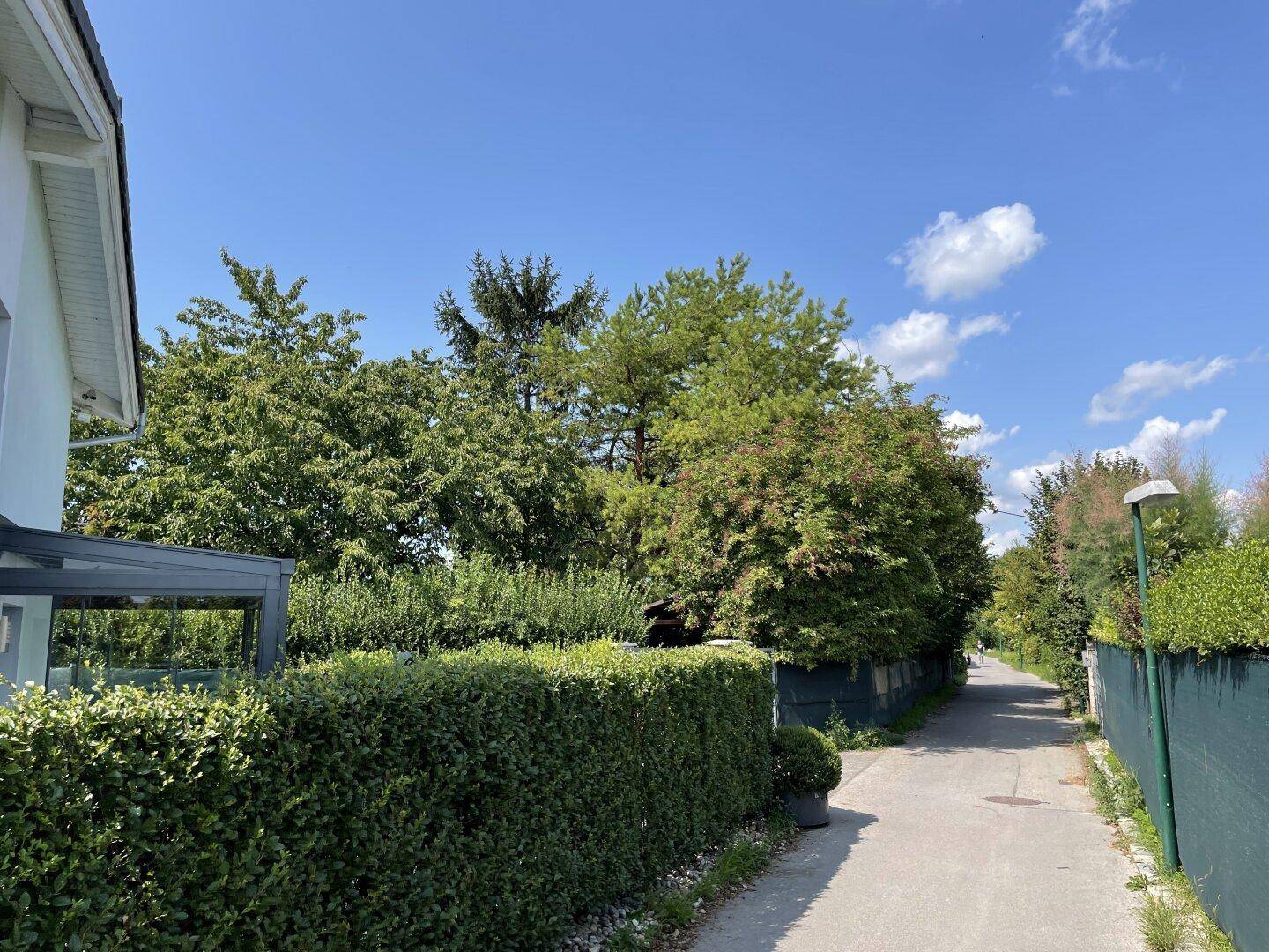 Ruhige Wohnstraße mit gepflegten Hecken, Bäumen und einem Teil einer Hausfassade an einem sonnigen Tag.
