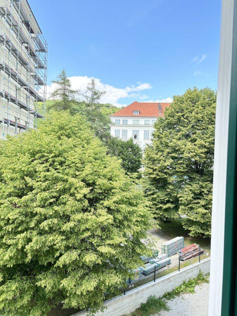 Blick aus dem Fenster auf grüne Bäume und umliegende Gebäude unter blauem Himmel.