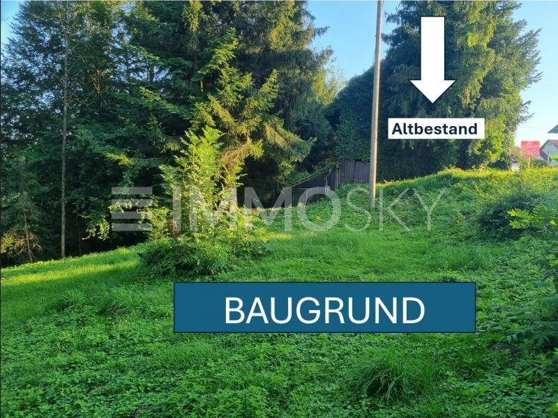 Baugrund/Altbestand