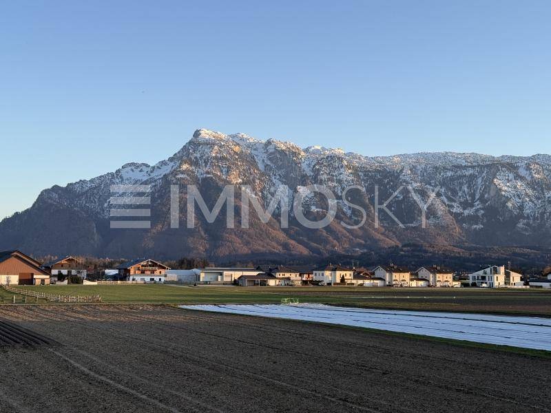 Ausblick