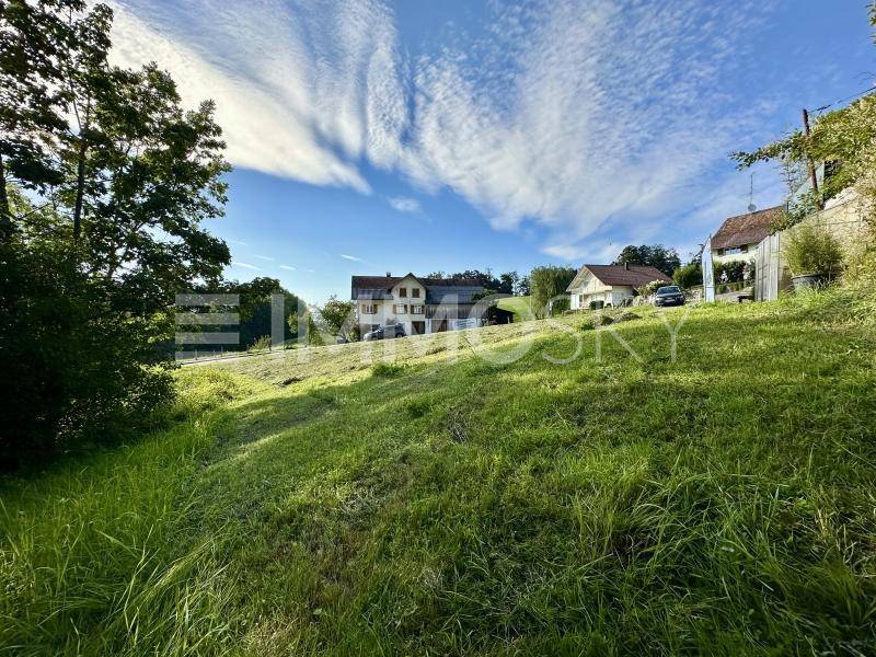 Blick nach Norden
