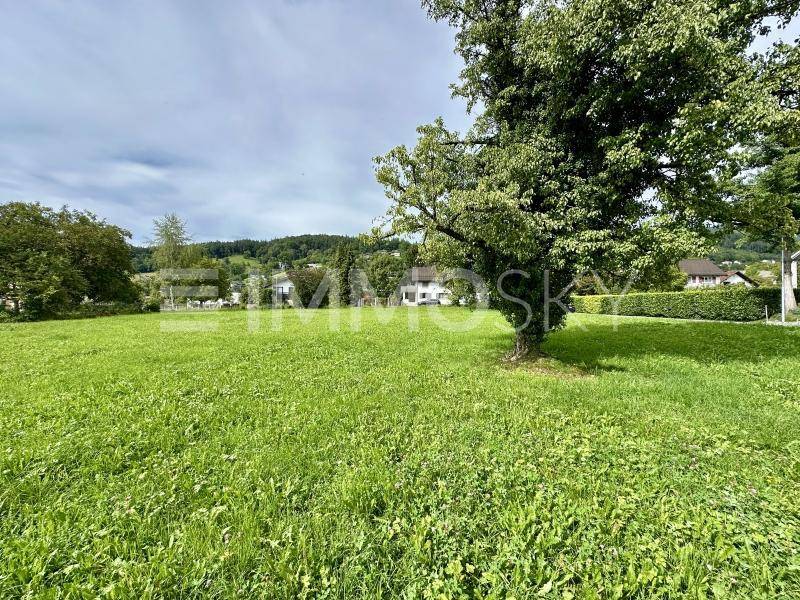 Blick nach Norden