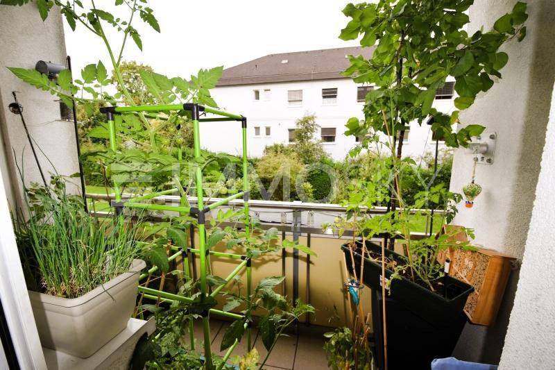 sonniger Balkon
