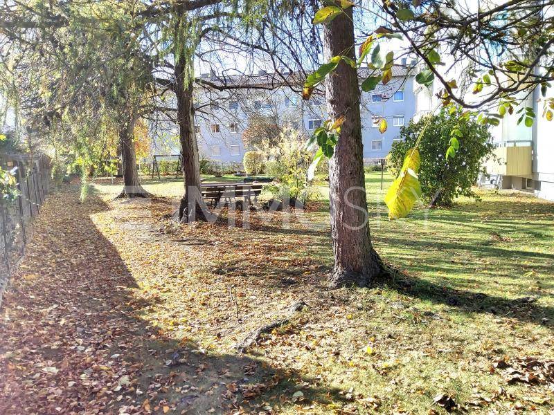 Gemeinschaftsgarten