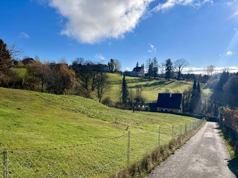 Weitläufige Grünfläche mit einem Feldweg, umzäuntem Bereich und Häusern in der Ferne unter blauem Himmel.