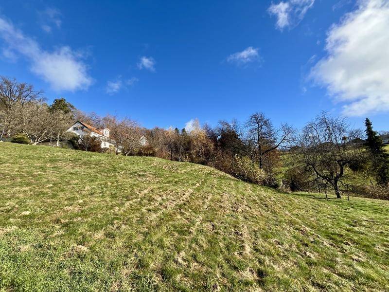 Grüne Hügellandschaft mit einem Wohnhaus am Hang und Bäumen unter einem klaren blauen Himmel.