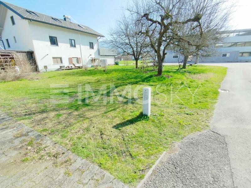 Blick auf eine Rasenfläche mit kahlen Bäumen und einem Wohnhaus im Hintergrund an einem sonnigen Tag.