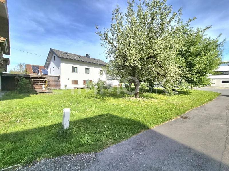 Sonnige Rasenfläche mit Bäumen und einem Wohnhaus, ausgestattet mit Photovoltaik-Modulen auf dem Dach.