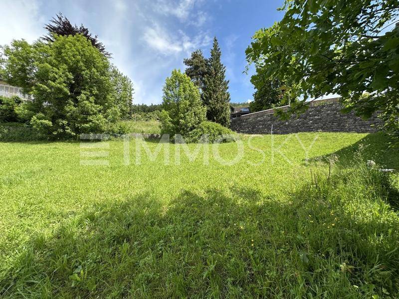 Grüne Wiese mit Bäumen und einer Steinmauer im Hintergrund unter blauem Himmel.