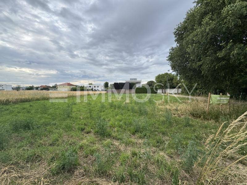 Attraktives Grundstück für Ihr Traumhaus - Ansicht 4