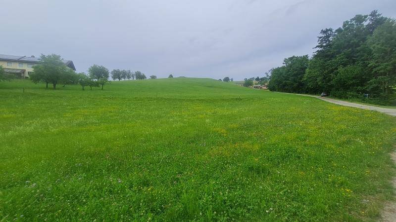 Feines Grundstück ländlich gelegen! - Ansicht 2