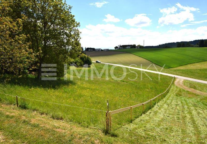 Weitblick-Traumplatz für Ihr Traumhaus-Stadtgrenze Urfahr - Ansicht 4